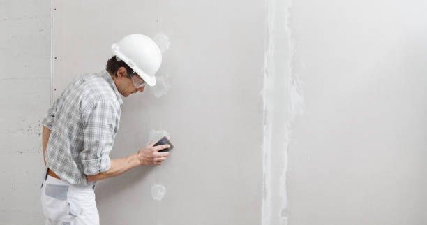 Best Comprehensive Air Testing for Mold Contaminants  in Hammond, LA