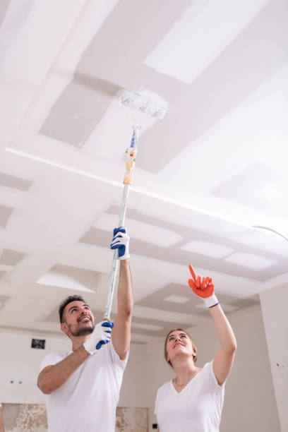 Best Mold Removal for HVAC Installations  in Hammond, LA