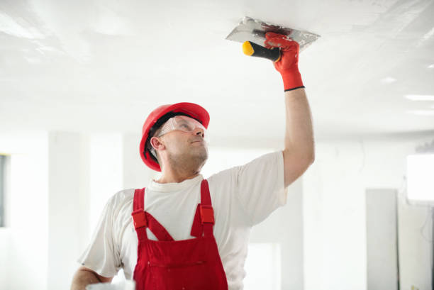 Best Dehumidification Services  in Hammond, LA