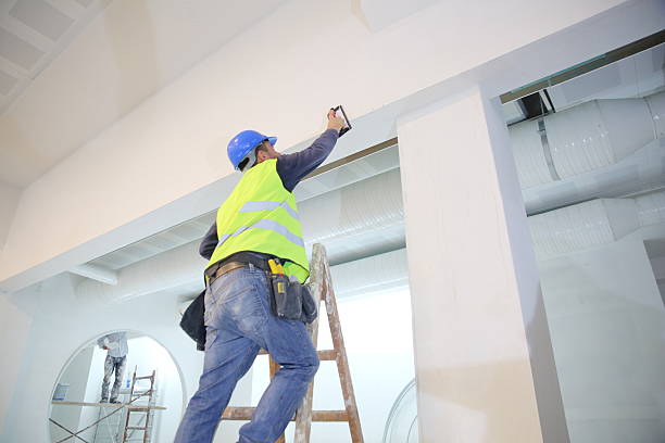 Best Post-Construction Mold Inspection  in Hammond, LA